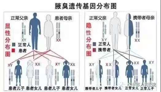 微信图片_20210611115351.jpg