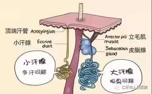 微信图片_20210611115347.jpg